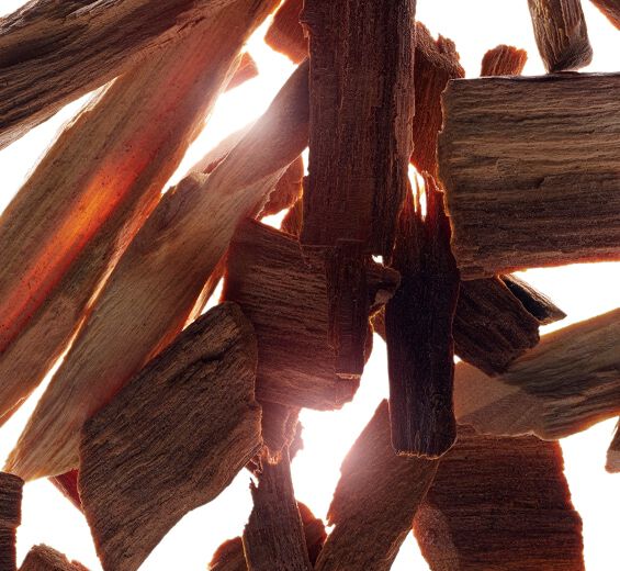 檀香-檀香精油-Santalum album (sandalwood) oil