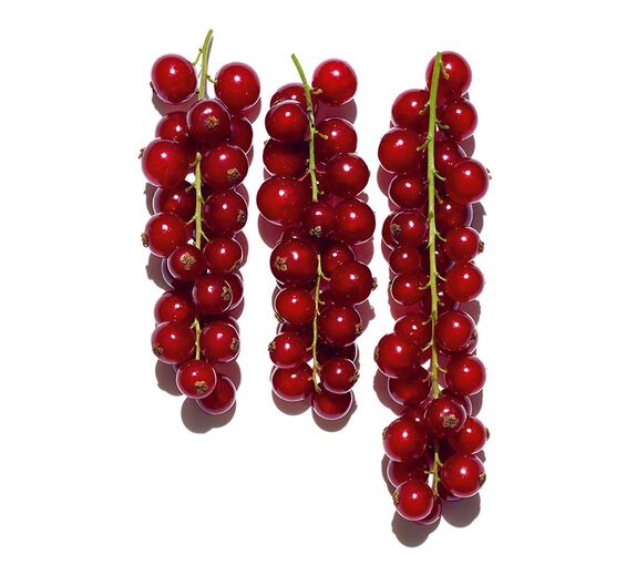 紅加侖子-有機紅加侖子萃取-Ribes rubrum (currant) fruit extract