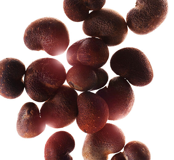 猴麵包樹-猴麵包樹萃取-Hydrolyzed adansonia digitata extract