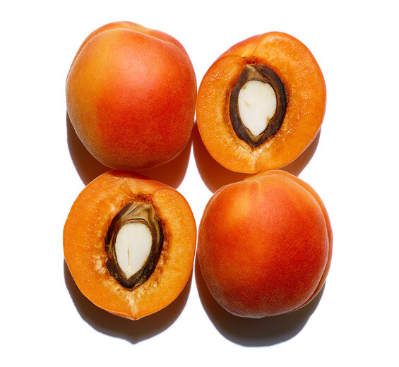 杏桃-有機杏桃油-Prunus armeniaca (apricot) kernel oil
