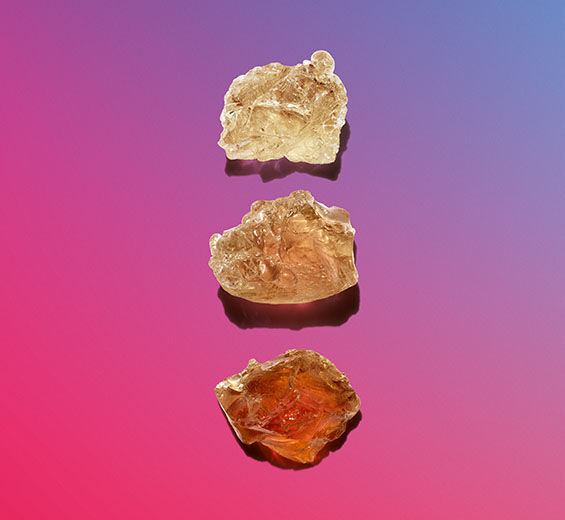 阿拉伯膠樹-植物微膜-Acacia Senegal gum