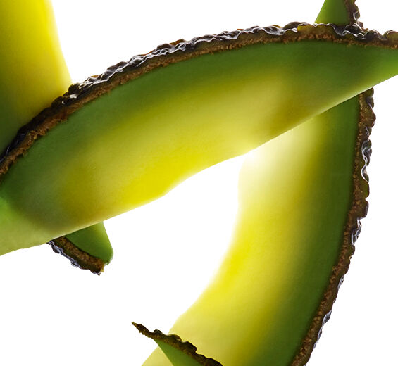 牛油果樹-牛油果不皂化物-Persea gratissima (avocado) oil unsaponifiables