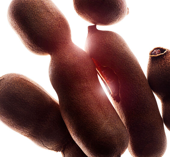 瓊崖海棠-有機瓊崖海棠油-Calophyllum inophyllum seed oil