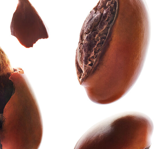 乳木果樹-乳木果油-Butyrospermum parkii (shea) butter