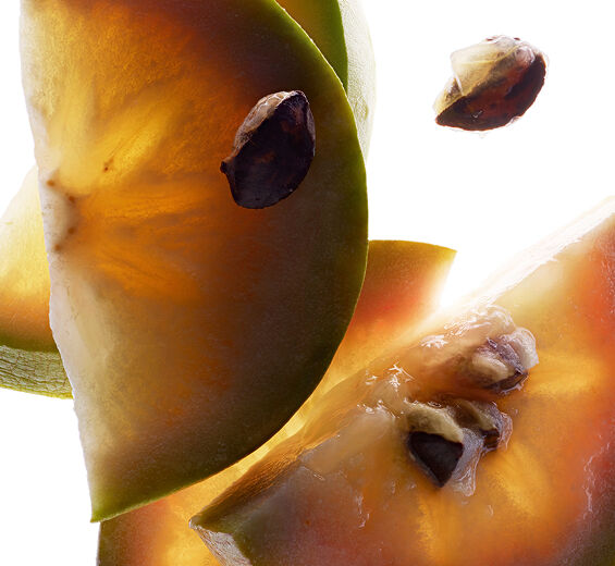 Caimito-Cainito fruit extract-Chrysophyllum cainito fruit extract