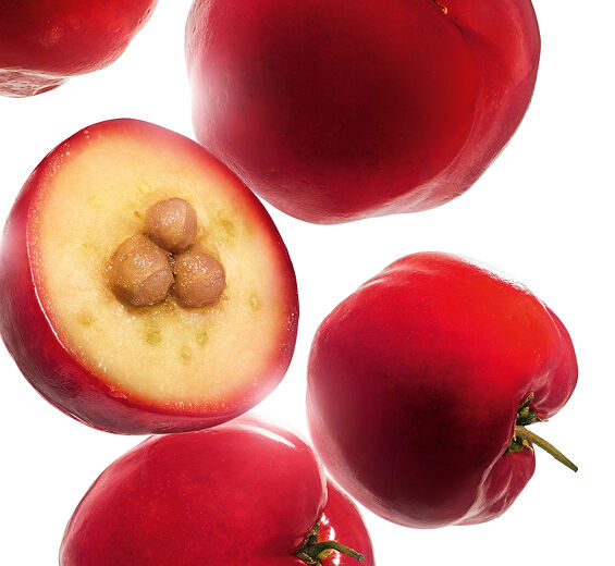 西印度櫻桃-西印度櫻桃萃取-Malpighia emarginata (acerola) fruit extract