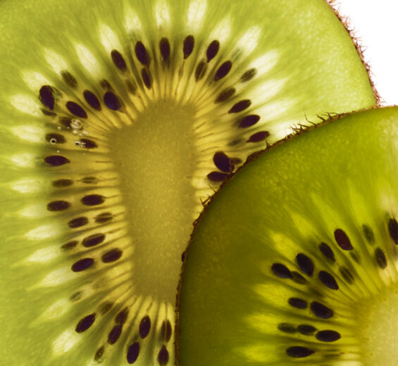 奇異果-有機奇異果萃取-Actinidia chinensis (kiwi) fruit extract