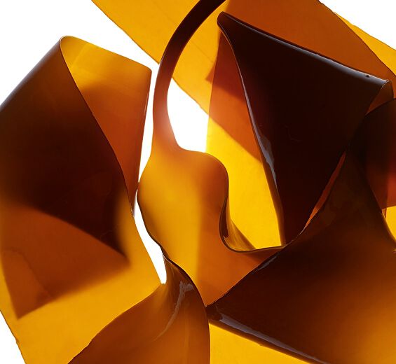 海帶-海帶萃取-Laminaria digitata extract