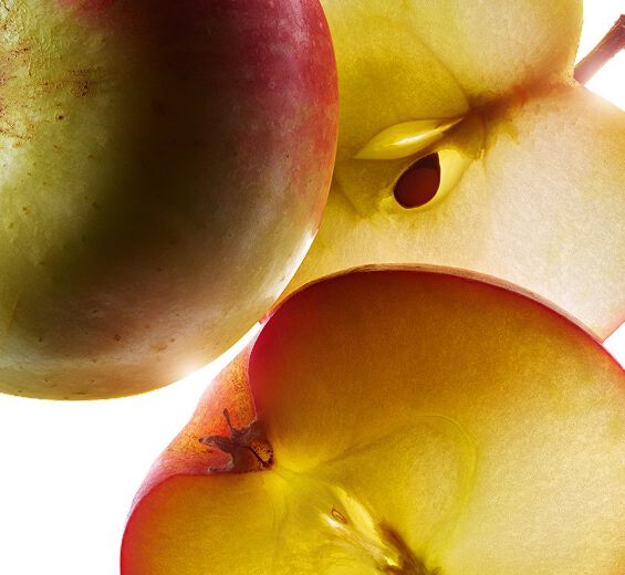 蘋果樹-蘋果樹-Malus Domestica Fruit Extract