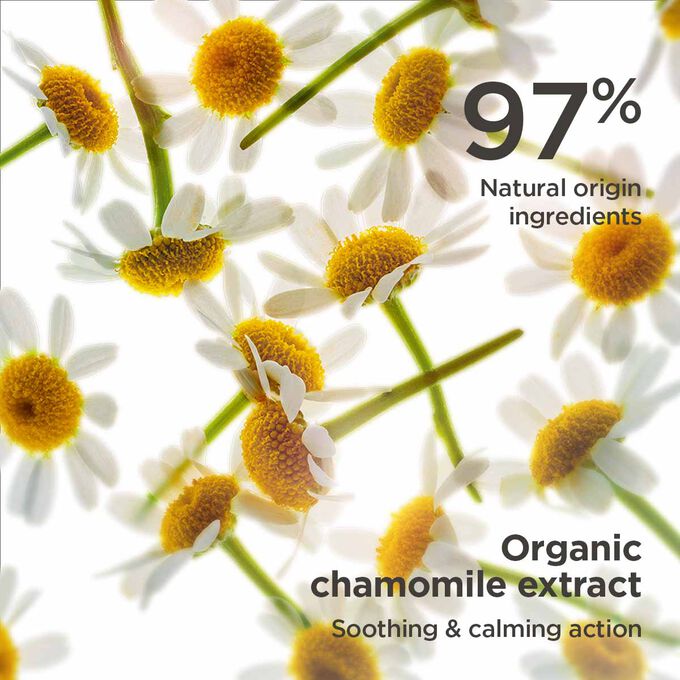 Close-up of chamomile, highlighting Clarins Soothing Toning Lotion's soothing action and 97% natural origin ingredients.