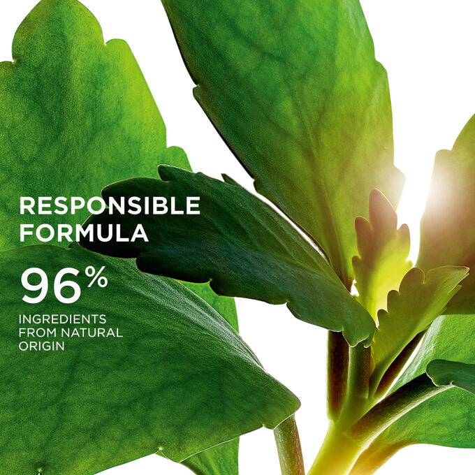 Focus on leaves, illustrating the 96% natural origin ingredients used in the Precious range for sustainable skincare formula.
