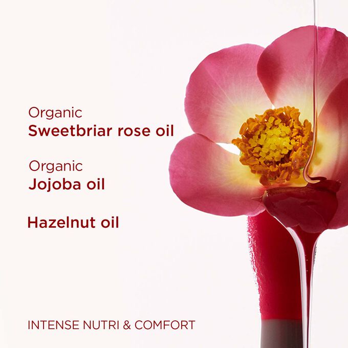 Close-up of a sweetbriar rose flower, emphasising the key ingredient in Clarins Lip Comfort Oil.