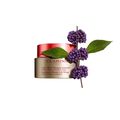 V-Facial Intensive Wrap