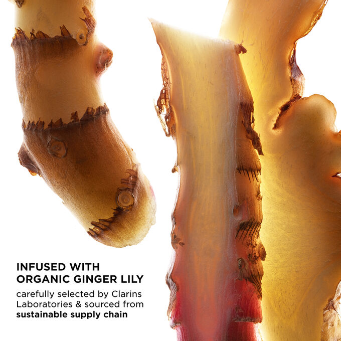 Focus on ginger slices, highlighting UV Protect key ingredients, sustainably sourced and carefully selected by Clarins Laboratories.