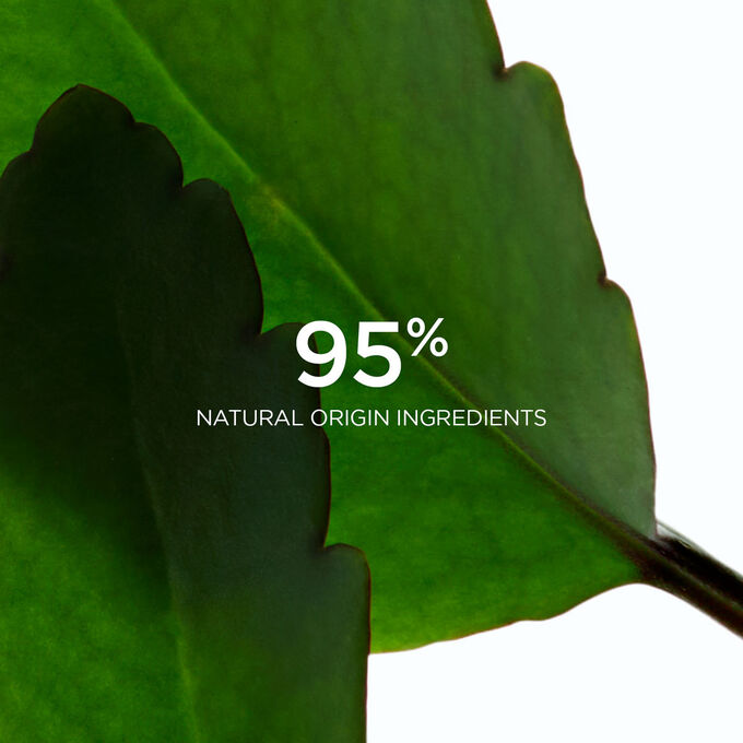 Close-up of two leaves of life to highlight that 95% of the ingredients in Clarins Fresh Scrub are of natural origin.