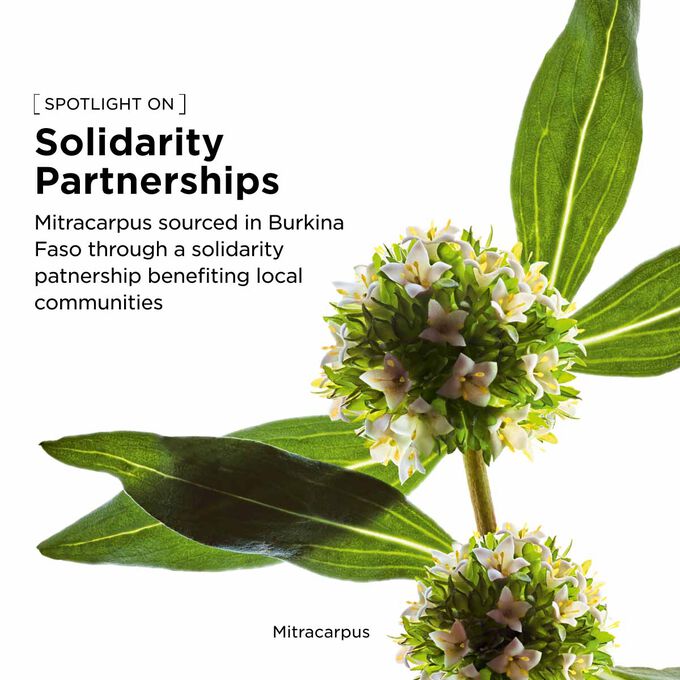 Organic mitracarpus responsibly sourced for this firming ritual to visibly strengthen the skin and improve elasticity.