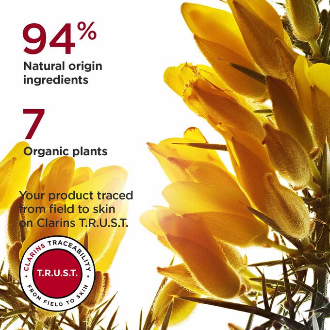 Focus on Ajonc flower, highlighting 94% natural origin ingredients and 7 organic plants used in Super Restorative cream for dry skin