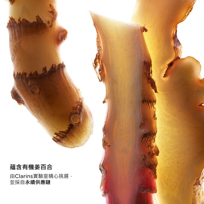 Focus on ginger slices, highlighting UV Protect key ingredients, sustainably sourced and carefully selected by Clarins Laboratories.