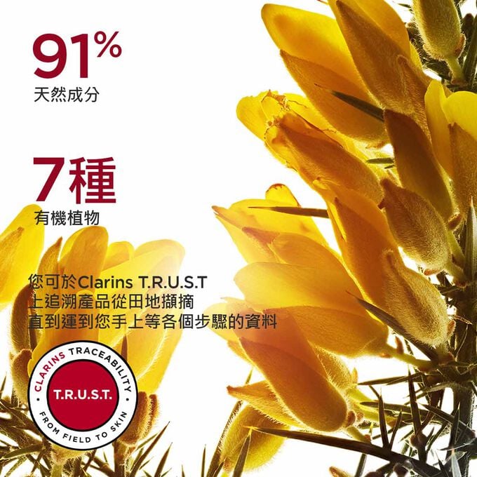 突顯金雀花，強調極緻活齡晚霜（乾性）的配方蘊含94%天然成分及5種有機植物