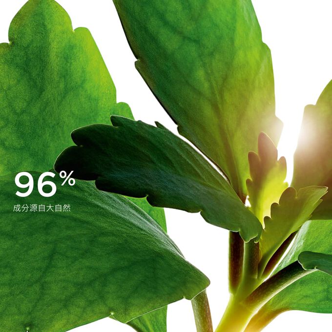 Focus on leaves, illustrating the 96% natural origin ingredients used in the Precious range for sustainable skincare formula.