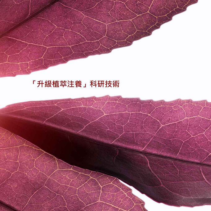 透亮光感速效套裝