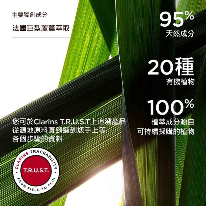 賦活雙精華配方中的巨型蘆葦萃取的圖片，強調產品蘊含95%天然成分。