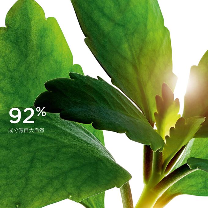 Focus on leaves, illustrating the 92% natural origin ingredients used in the Precious range for a sustainable skincare formula.