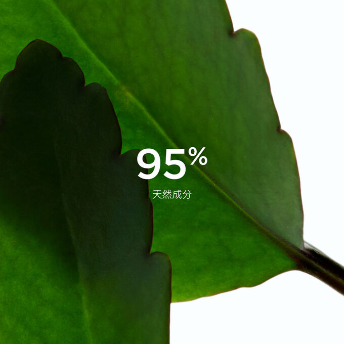 兩片生命之葉的特寫，強調Clarins清爽磨砂膏蘊含95%天然成分。