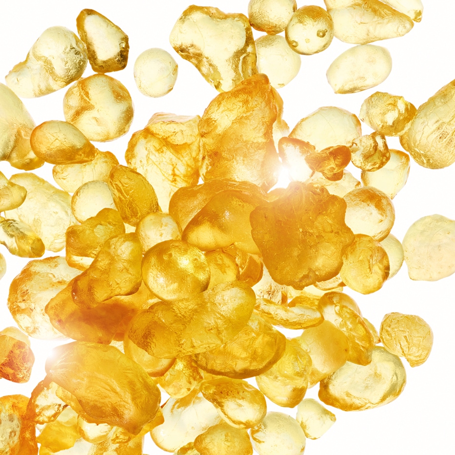 乳香灌木-乳香萃取-Pistacia lentiscus (mastic) gum