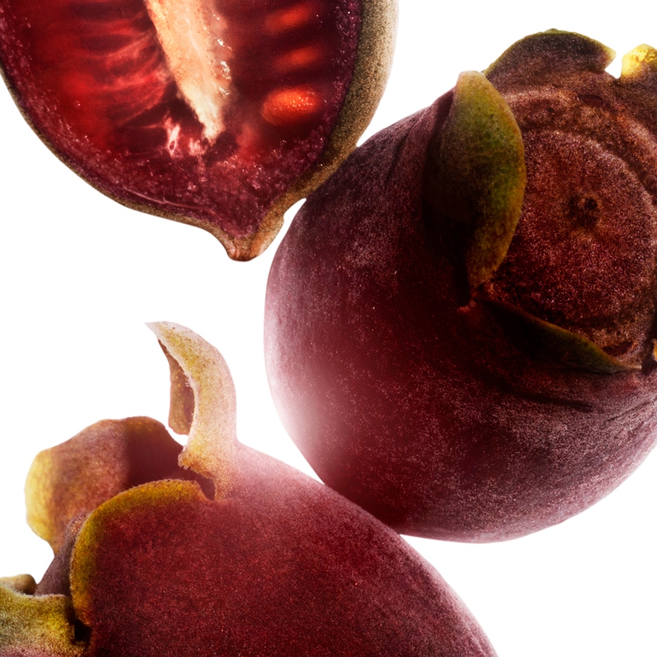 桃金娘-桃金娘萃取-Rhodomyrtus tomentosa fruit extract