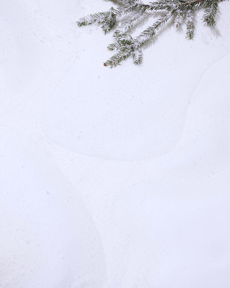 送禮好幫手