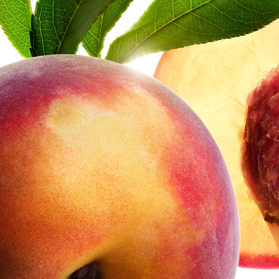 桃樹-桃樹乳-Prunus persica (peach) leaf extract