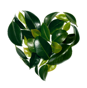 Leaf heart