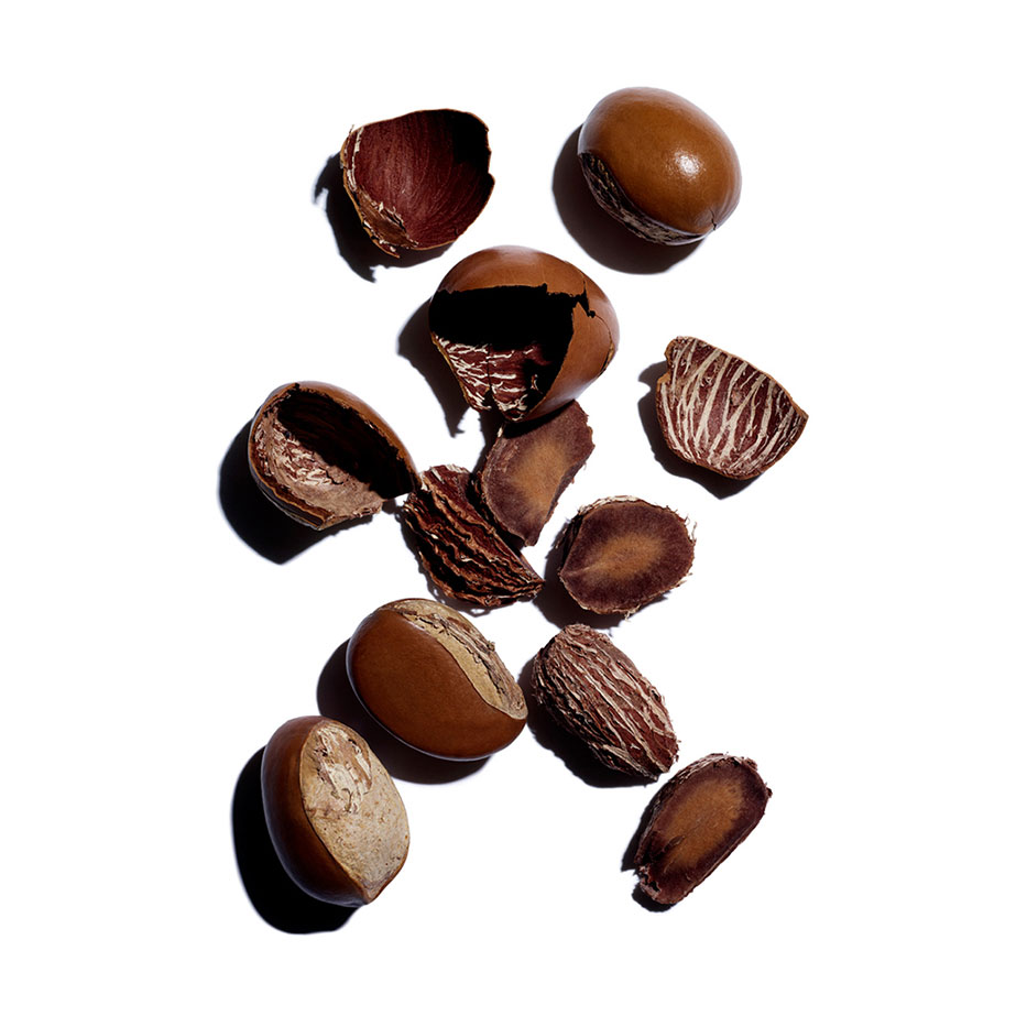 moisture-rich body lotion