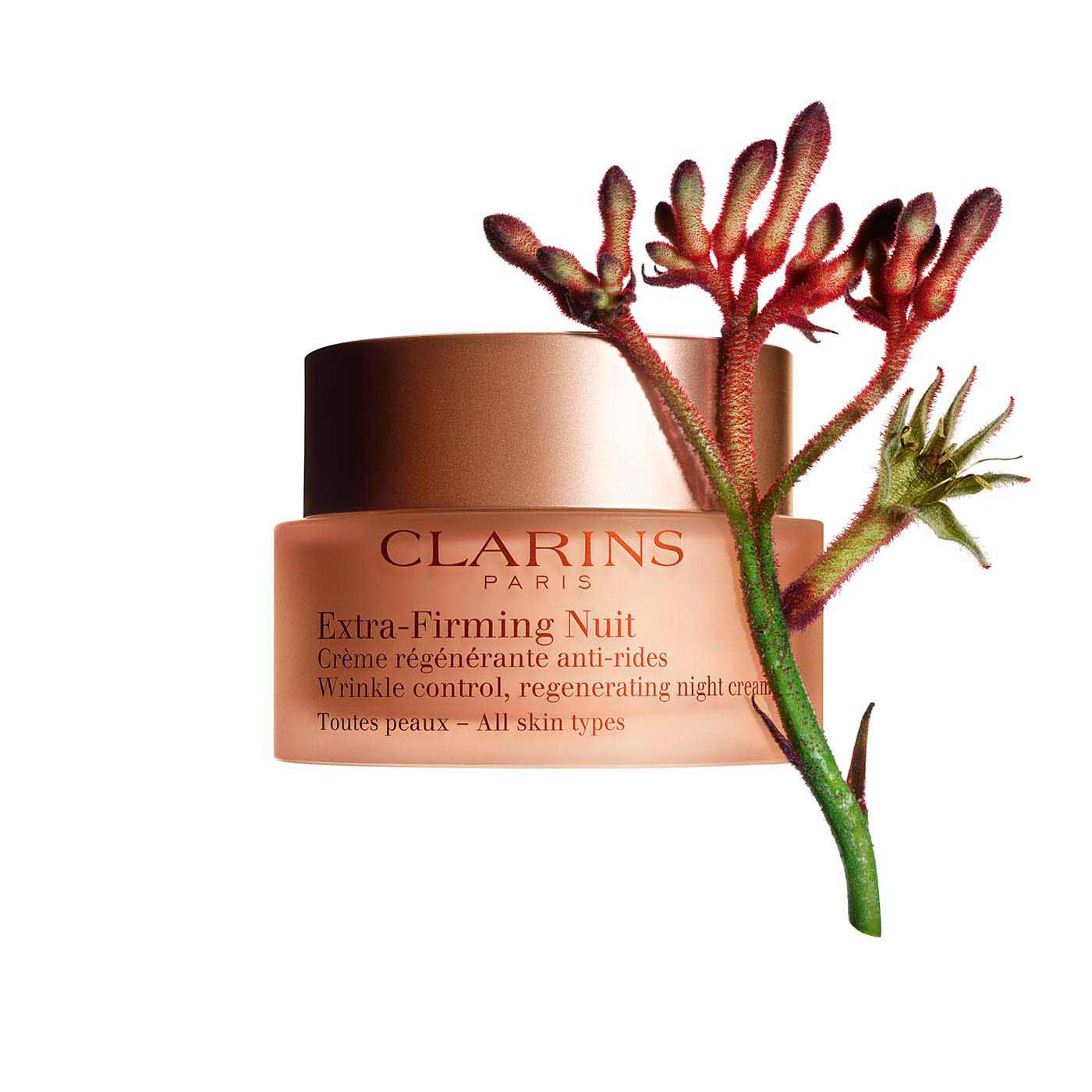 clarins day night cream